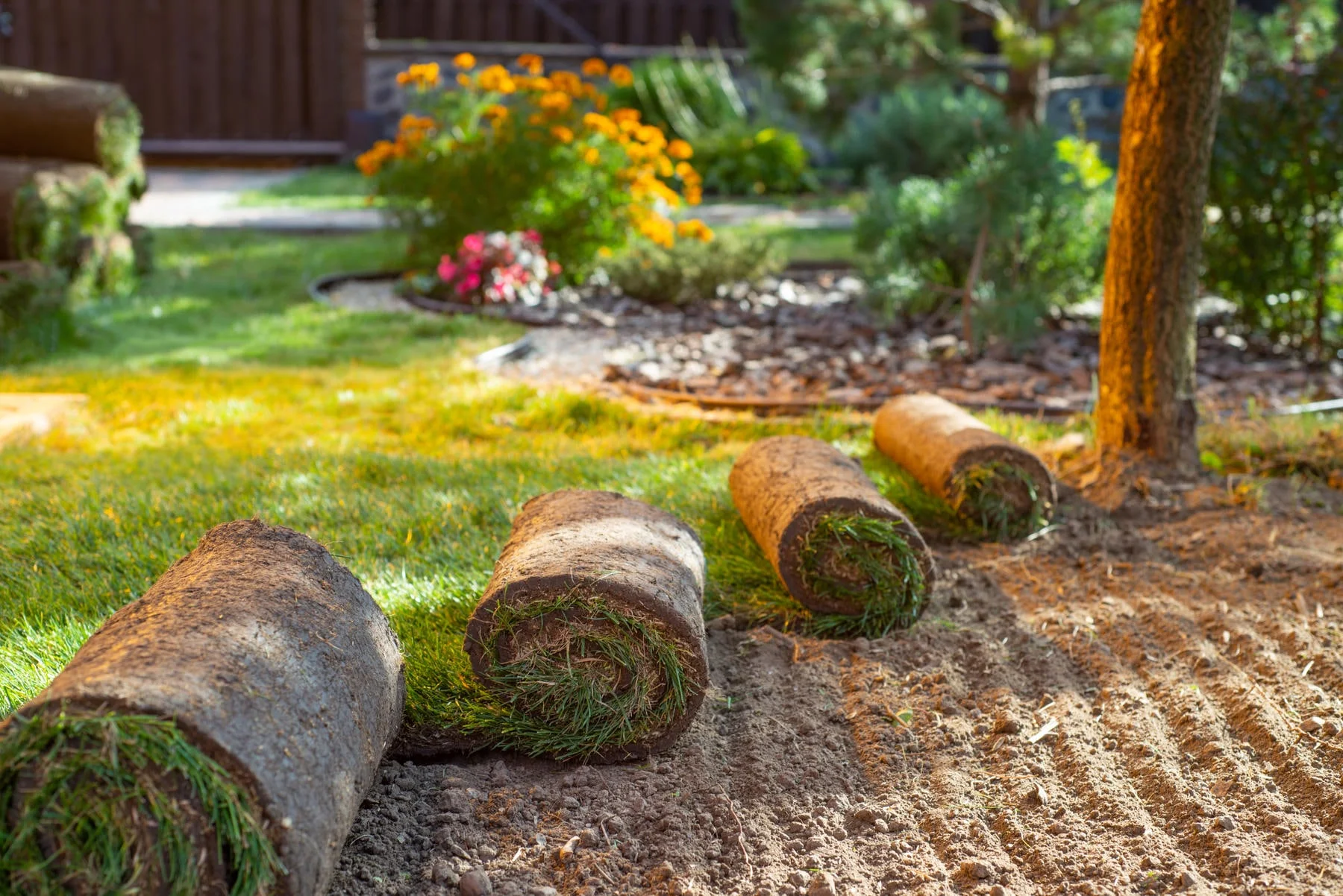 Professional landscaping services in King County